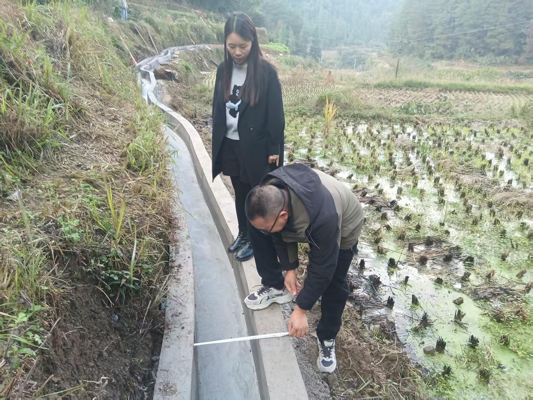 圖為:鎮有關部門實地查驗溝渠修建情況