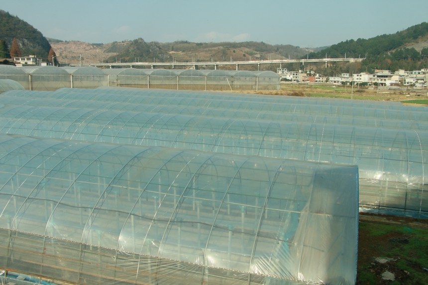 目前建好的7個實驗棚。