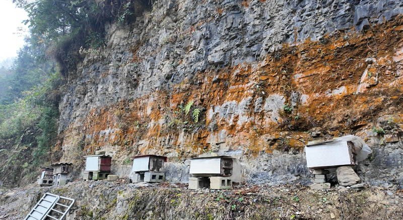 山崖旁的封箱 彭垚 攝.jpg