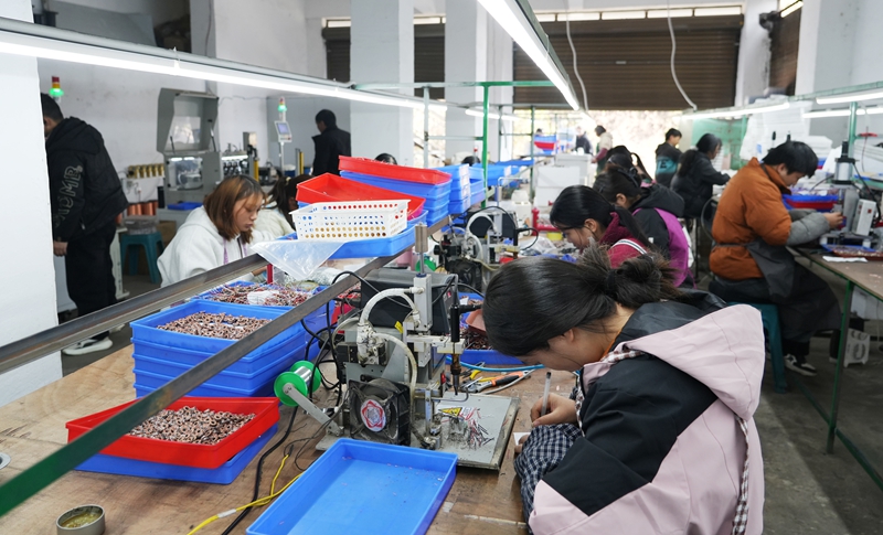 工人正在小馬達流水線上作業（王麗紅 攝影） (5).JPG