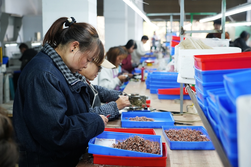 工人正在小馬達流水線上作業。王麗紅攝