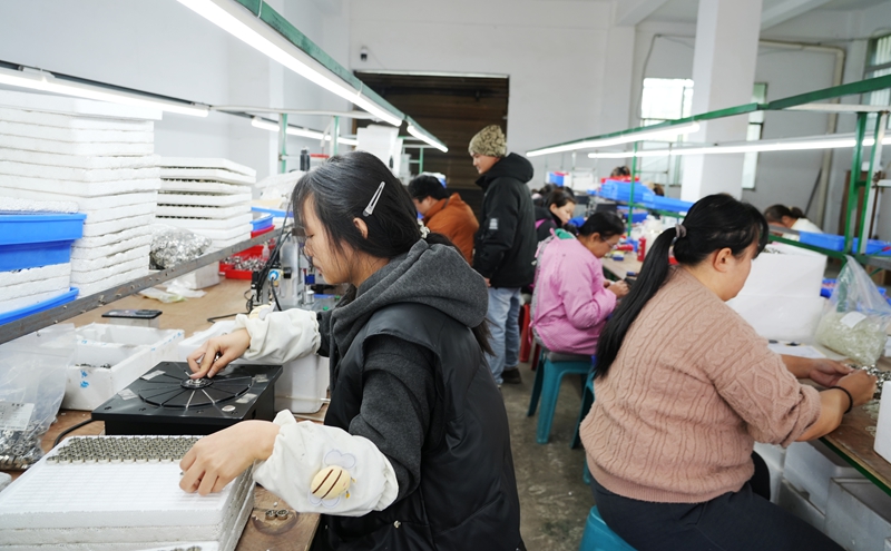 工人正在小馬達流水線上作業。王麗紅攝