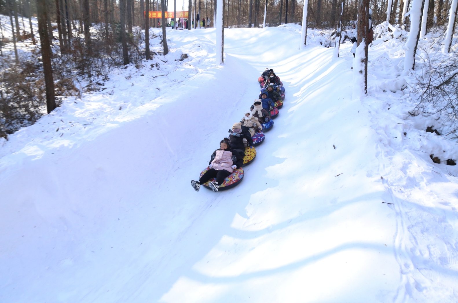 撫順2000米長的“雪地貪吃蛇”林間雪圈道上,尖叫聲不斷。