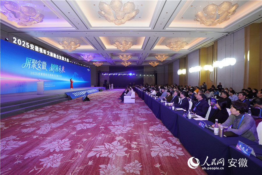 2025安徽視聽文旅融合發展大會現場。人民網記者 陳若天攝