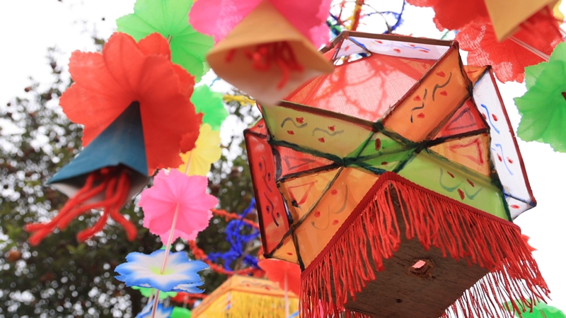 申時友制作好的花燈。王艷 攝.jpg