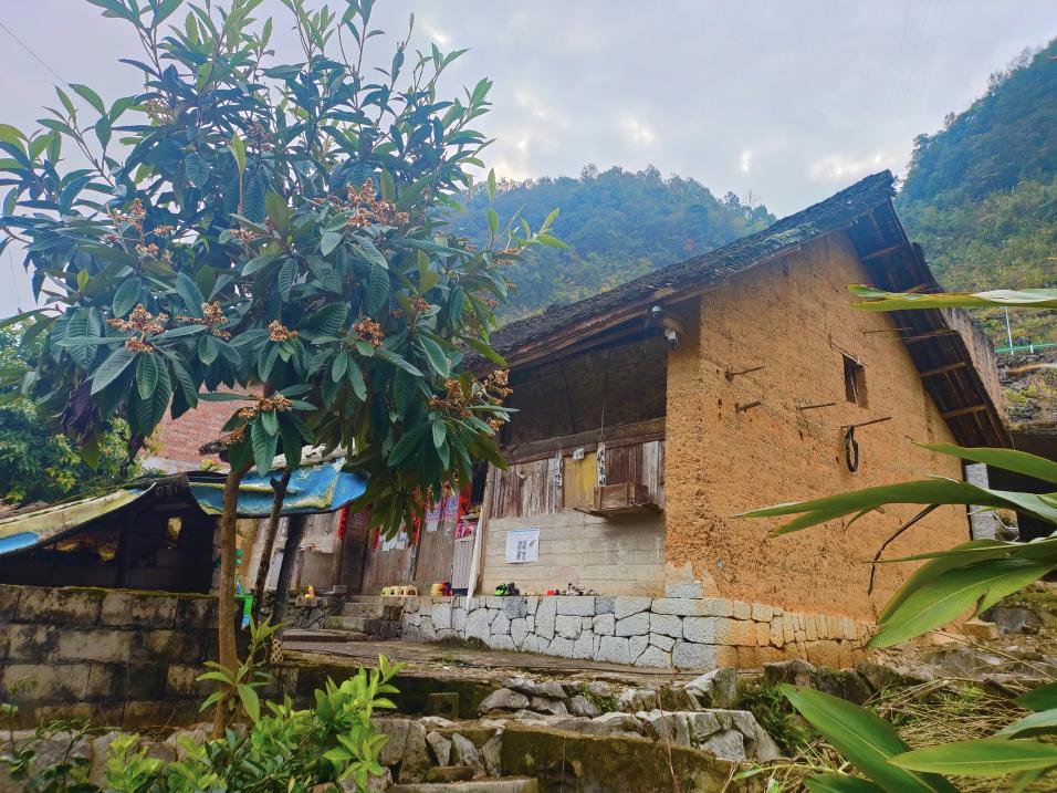 芭茅村昔日老房子。