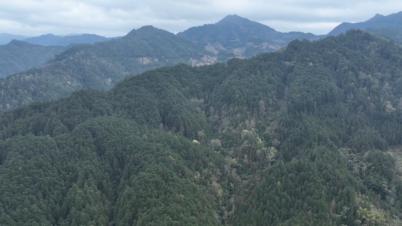 貴州三都“綠色氧吧”里的守護與奉獻。