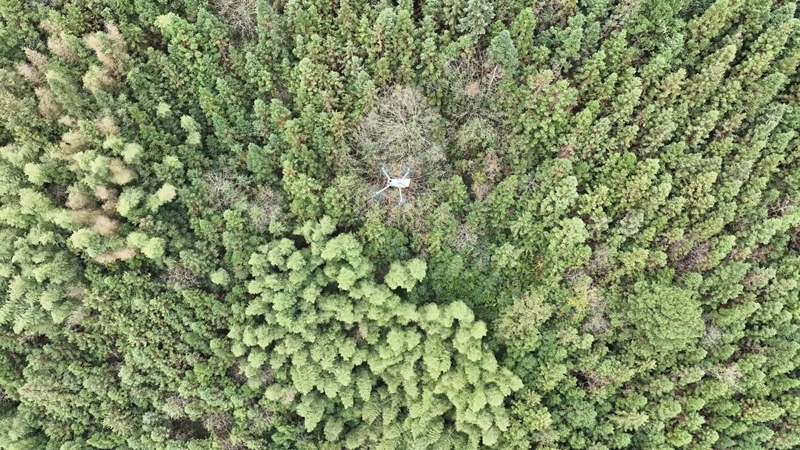 無人機巡查。