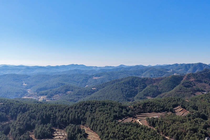 12月19日，威寧自治縣哲覺鎮林海一角。卯升林攝