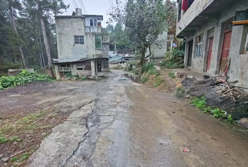 改造前的茶店村登高坡組道路。