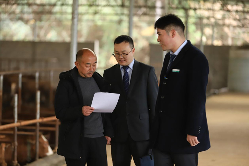 金融活水精準賦能 種養(yǎng)殖產(chǎn)業(yè)煥發(fā)新生機。