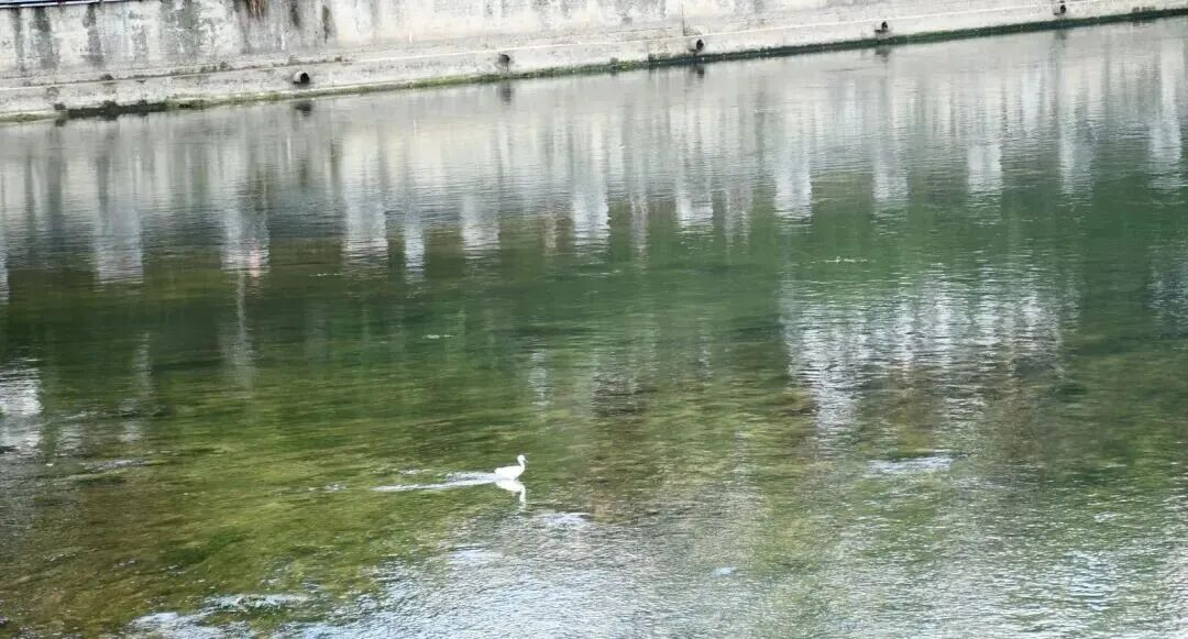 圖1以綠為墨 潤染南明 繪就山水人城共生的詩意長卷