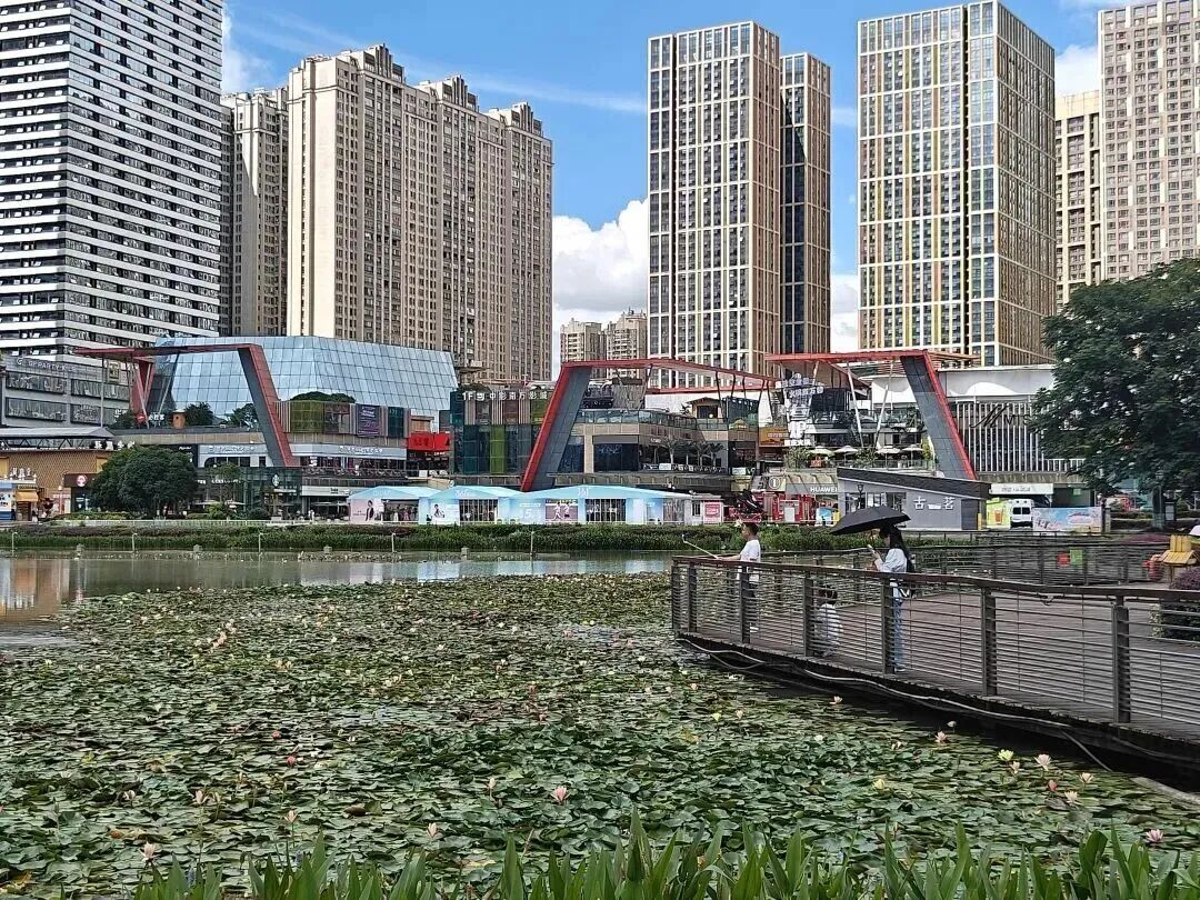 圖2以綠為墨 潤染南明 繪就山水人城共生的詩意長卷