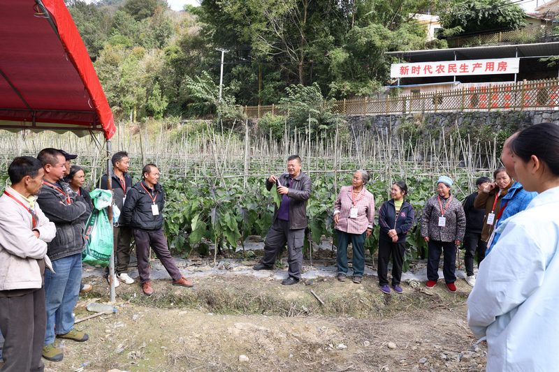 省農科院專家開展技術指導。