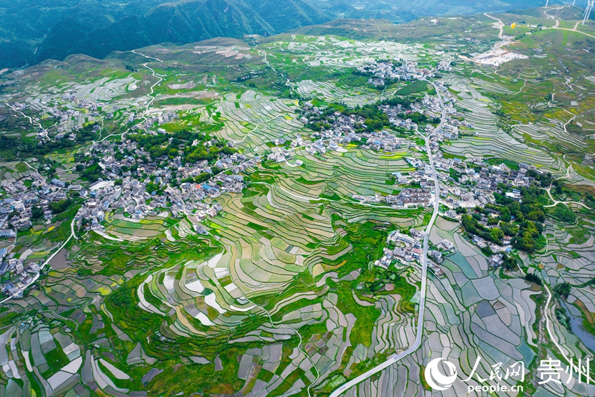 6 2025年6月4日,貴州省貴陽市花溪區高坡苗族鄉的梯田隨山勢鋪展,與周圍的民居相互映襯,構成一幅和諧自然的田園畫卷。人民網記者 涂敏 攝
