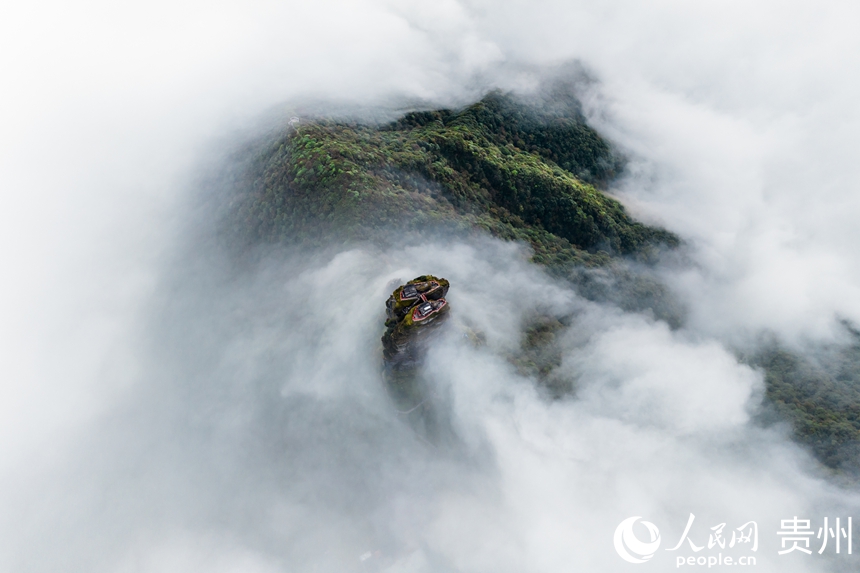 10 2025年10月24日,秋深景濃,貴州省銅仁市境內的梵凈山云霧彌漫,遠處的金頂則在霧縫的開合間時隱時現。作為武陵山脈的最高峰,梵凈山不僅擁有雄奇的自然景觀,更擁有獨特的生態資源與科研價值。數據顯示,2025年暑假期間,梵凈山景區接待游客47.2萬人次,周邊民宿、酒店7月入住率均超過60%。人民網記者 涂敏 攝