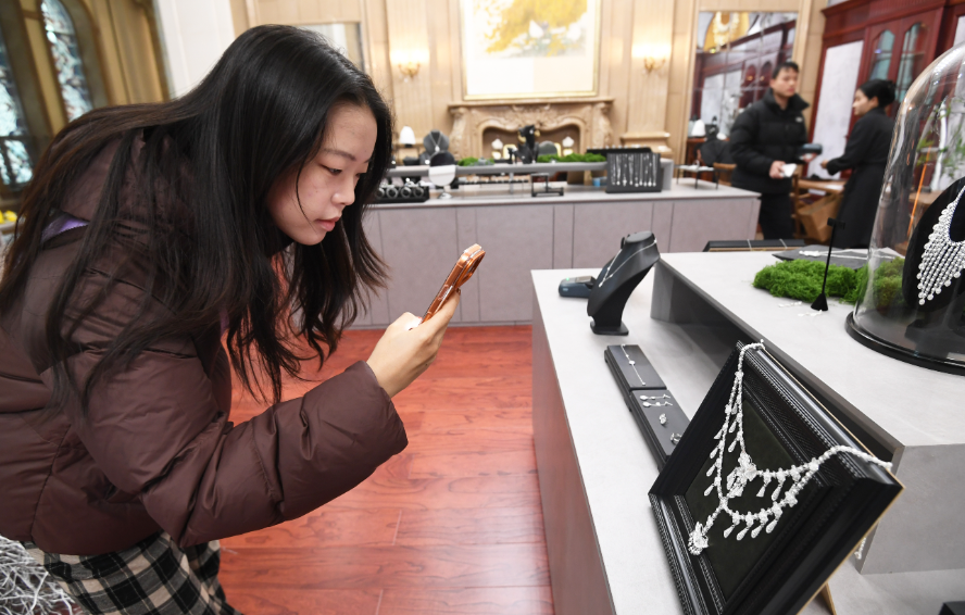 12月28日，花果園國際文化藝術交流中心瑞銀鳥展區。