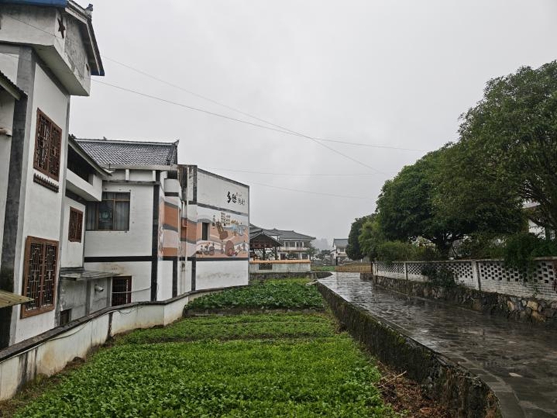 花茂村的鄉間小道。楊菁馳攝