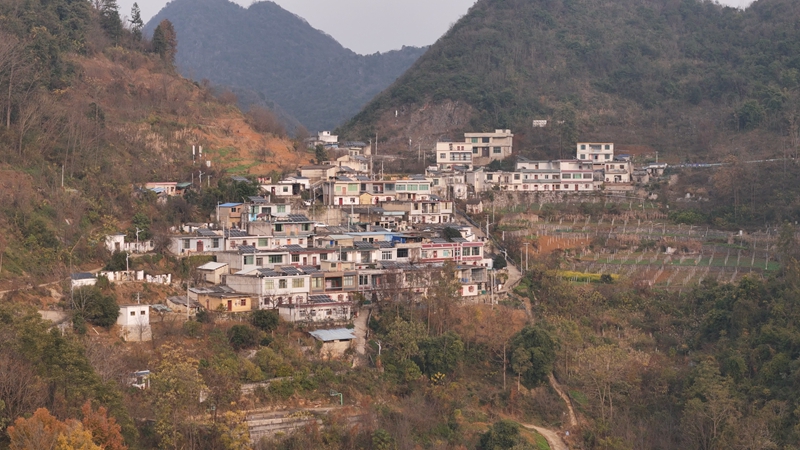 江龍鎮(zhèn)簸箕村。