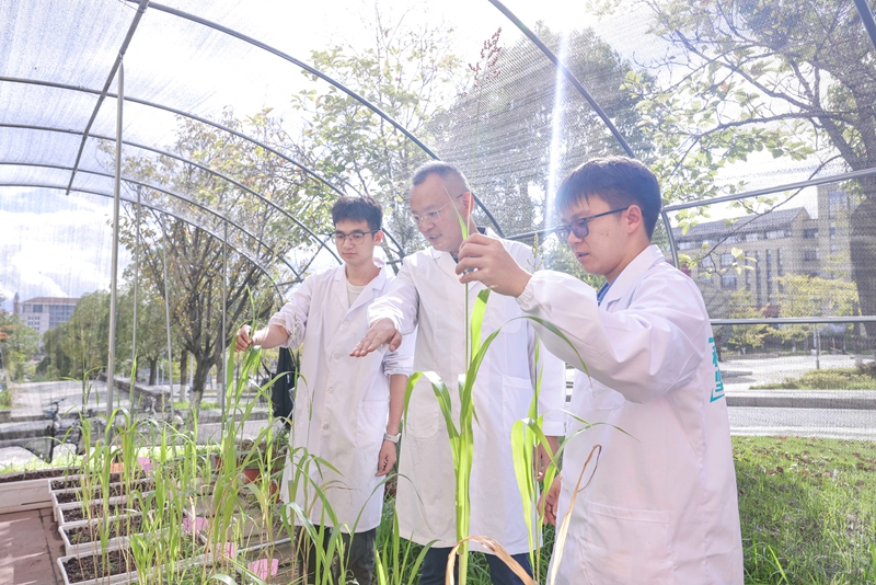 3、貴州師范大學黎陽教授指導學生開展科研活動。