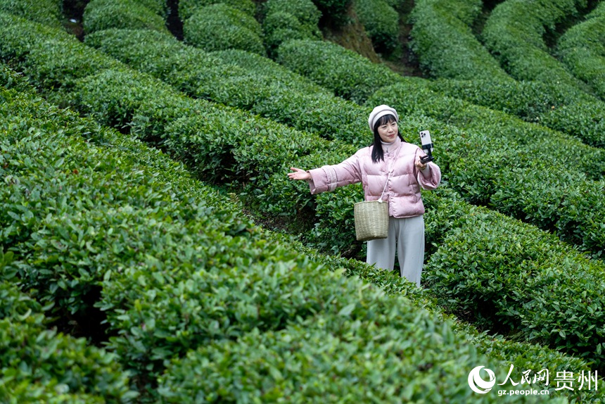 游客在茶園內打卡拍照。人民網記者 涂敏攝