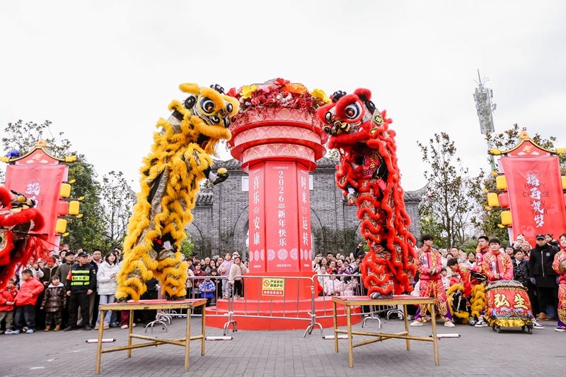 花溪公園迎新游園會.