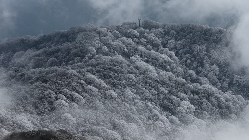 貴州梵凈山迎2026年首場降雪，半山銀白奇景驚艷亮相。