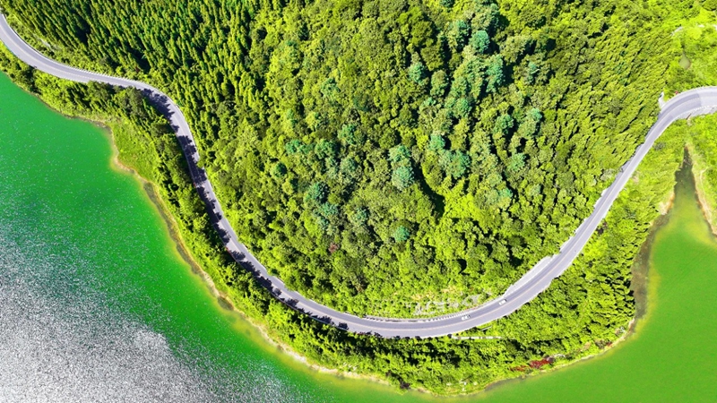 11 圖為G356墮卻水庫路段綠色生態路。李敏嘉 攝.jpg