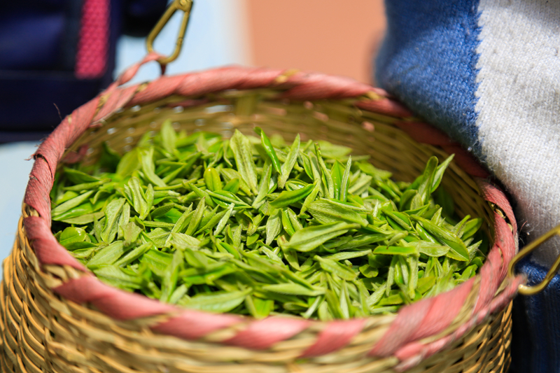 深耕國家級“名特優(yōu)新”農(nóng)產(chǎn)品 繪就鄉(xiāng)村振興新畫卷。