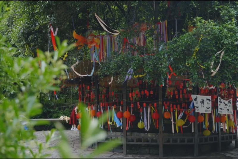 活動現(xiàn)場。