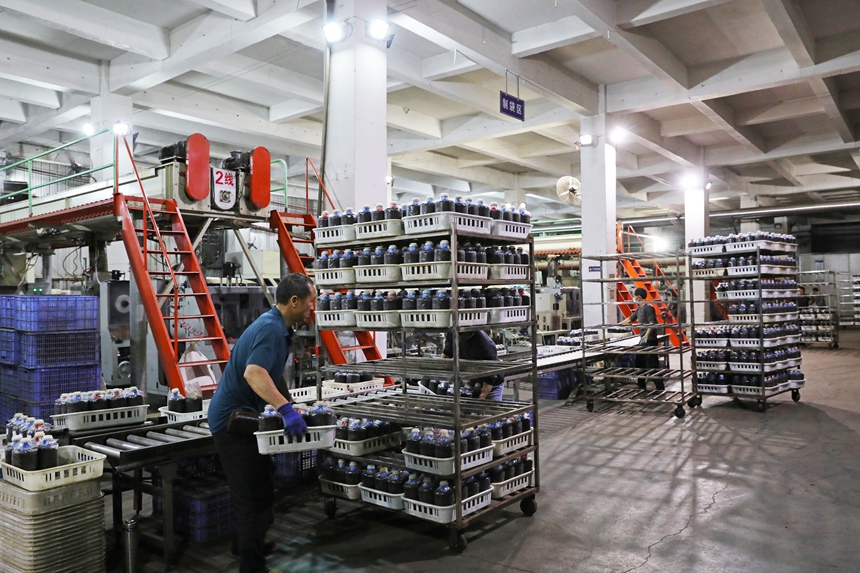 工人在搬運(yùn)鹿茸菇菌棒半成品。岑光柱攝