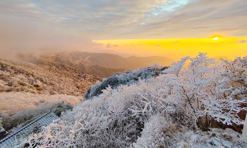 梵凈山霧凇沐金，雪霽如畫。