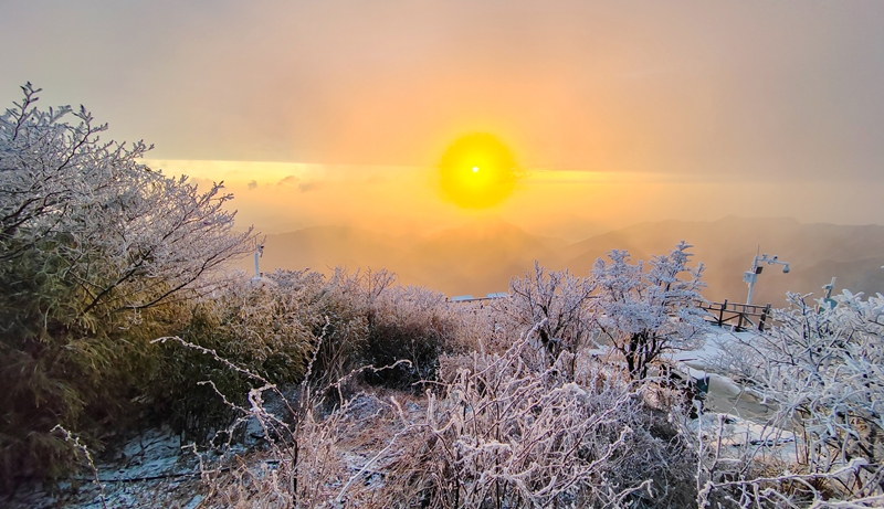 梵凈山霧凇沐金，雪霽如畫。