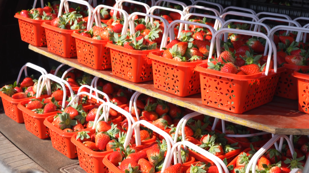 西秀區(qū)“暖經(jīng)濟”熱力值拉滿。