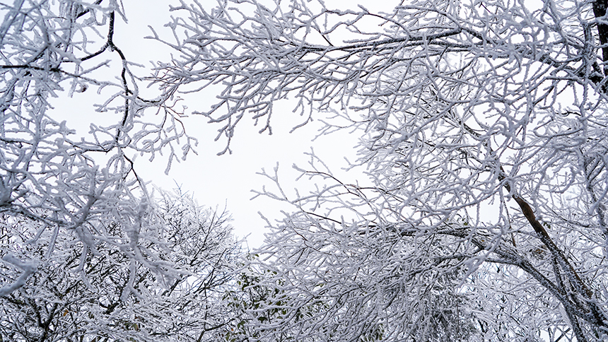 貴州省銅仁市石阡縣佛頂山國家級(jí)自然保護(hù)區(qū)1869.3米的山巔之上迎來了冬日限定的冰雪奇觀，寒霧凝霜綴滿枝頭。陳超攝