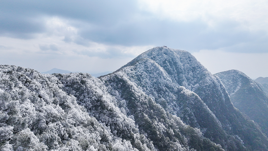 貴州省銅仁市石阡縣佛頂山國家級自然保護區1869.3米的山巔之上迎來了冬日限定的冰雪奇觀，寒霧凝霜綴滿枝頭。夏磊攝
