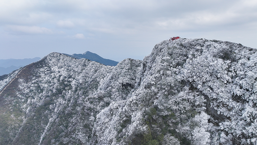 貴州省銅仁市石阡縣佛頂山國家級自然保護(hù)區(qū)1869.3米的山巔之上迎來了冬日限定的冰雪奇觀，寒霧凝霜綴滿枝頭。夏磊攝