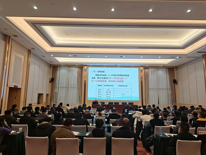 黔東南州2025年中央財政油茶獎補項目培訓(xùn)會現(xiàn)場1（陸傳春攝）