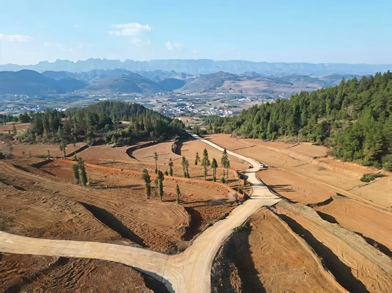松桃迓駕鎮：高標準農田激活鄉村振興新動能。