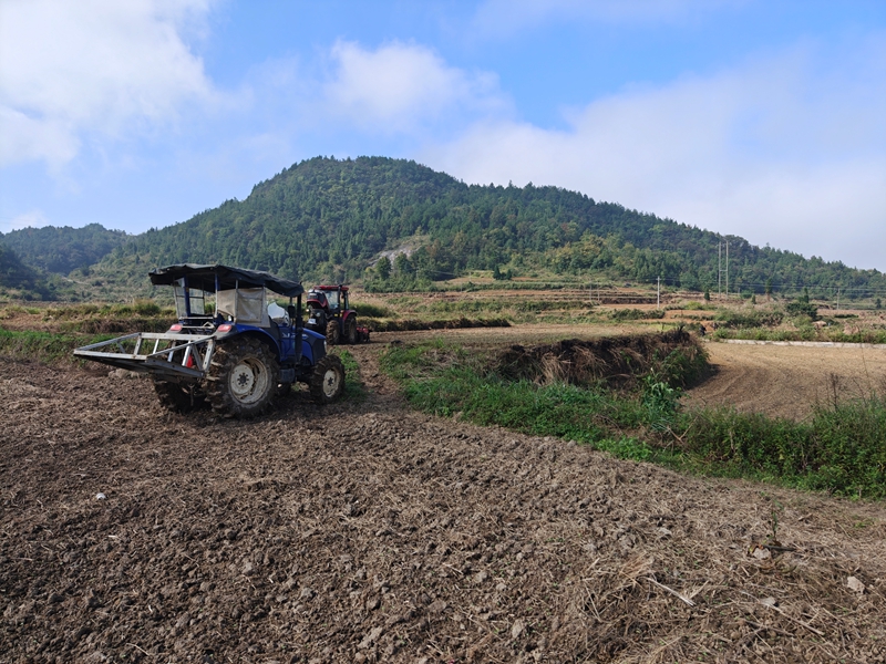 松桃迓駕鎮：高標準農田激活鄉村振興新動能。