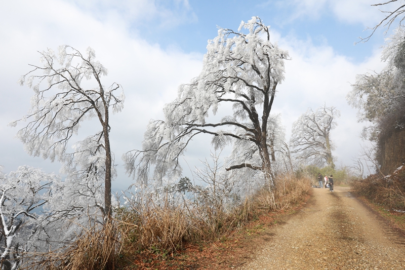 1月6日，在貴州省劍河縣南哨鎮老山界拍攝的霧凇景觀。 