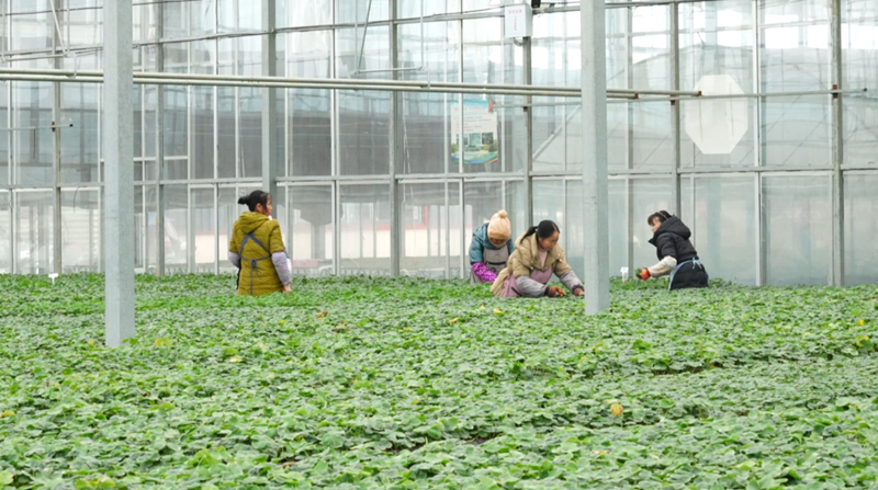 金融“活水”精準“滴灌”。