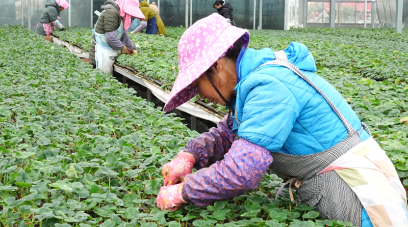 金融“活水”精準“滴灌”。