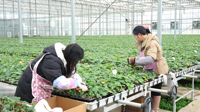 金融“活水”精準“滴灌”。