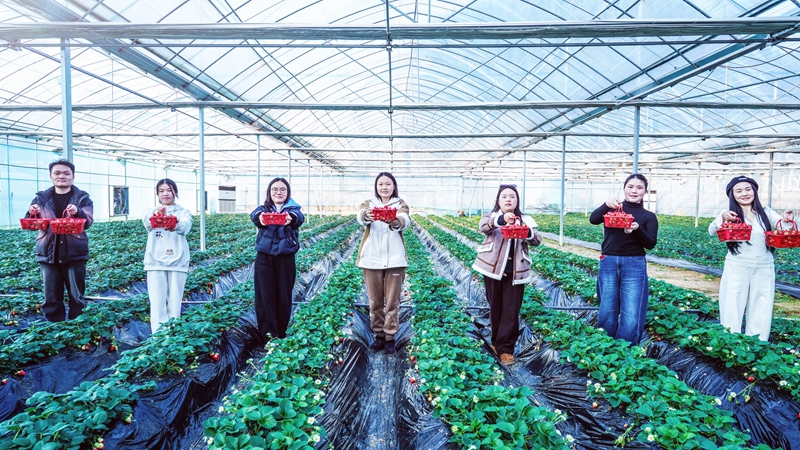 貴州沿河：甜蜜產業”助農增收 激活鄉村振興新引擎(3).jpg