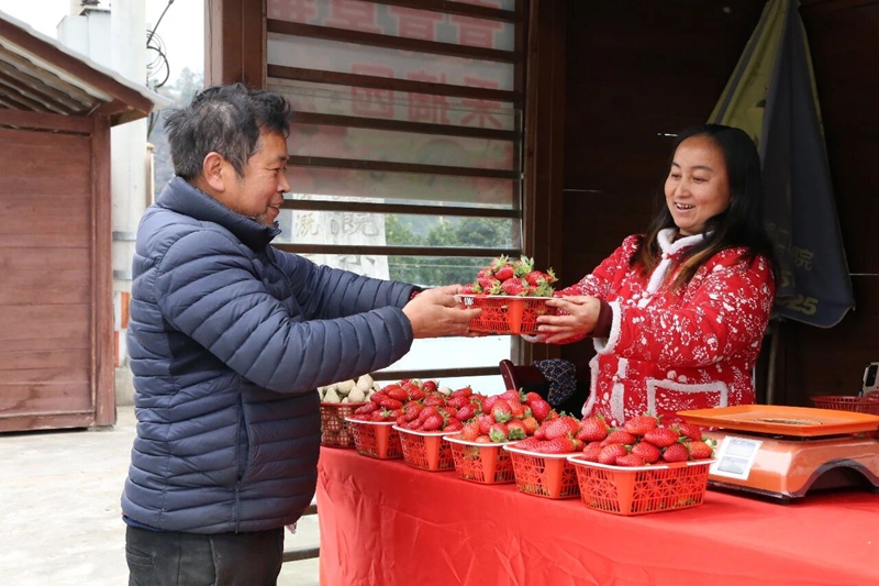 2 圖為國道354沿線草莓直售點 聶 靜 攝.jpg
