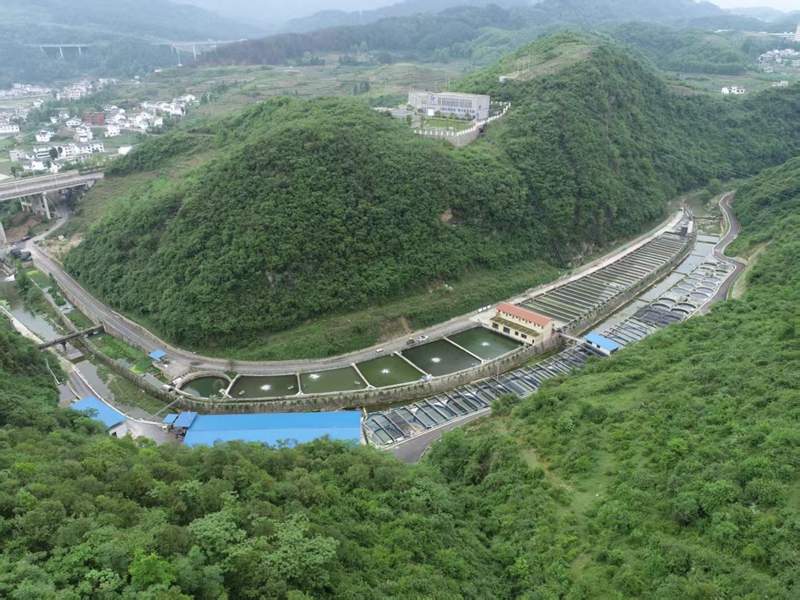 貴州水之源新農(nóng)業(yè)科技發(fā)展有限公司養(yǎng)殖基地鳥瞰.jpg