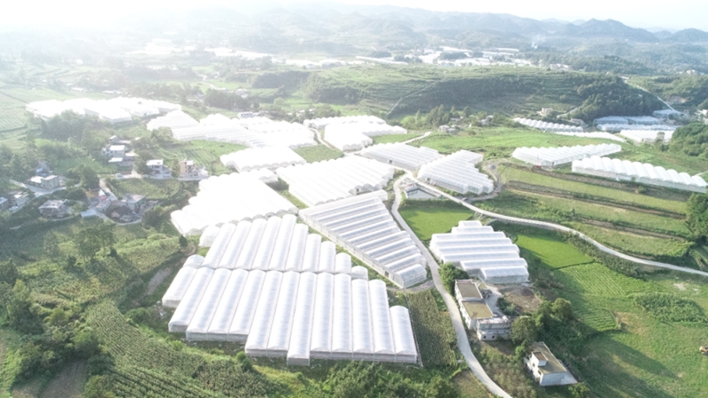 貴陽市高標準蔬菜保供基地石硐鎮前豐村園區.jpg
