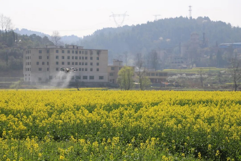 農(nóng)用無人機(jī)正在進(jìn)行工作。