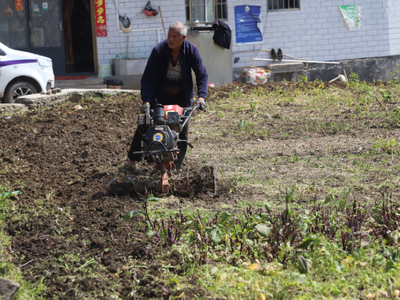 正在使用農用微耕機的農戶。